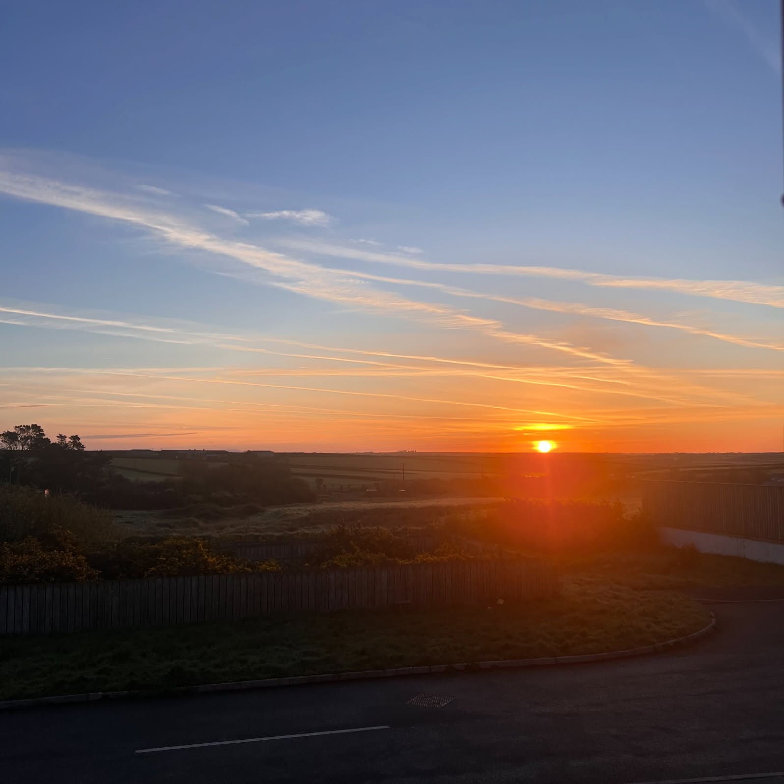 Dawn Gallery 6